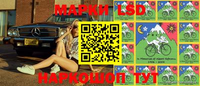 стафф Обнинск